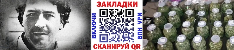 Цена Дигора МДМА КОКАИН СК МАРИХУАНА АМФЕТАМИН Меф Гашиш