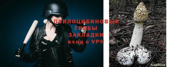 не бодяженный Волоколамск