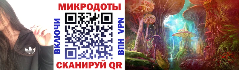 где купить наркоту  Дигора  МЕГА ТОР  Галлюциногенные грибы Magic Shrooms 